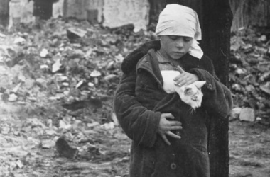 Девочка с кошкой возле разрушенного дома в Смоленской области