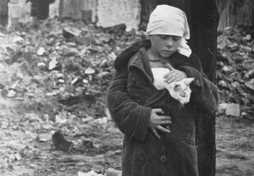 Девочка с кошкой возле разрушенного дома в Смоленской области