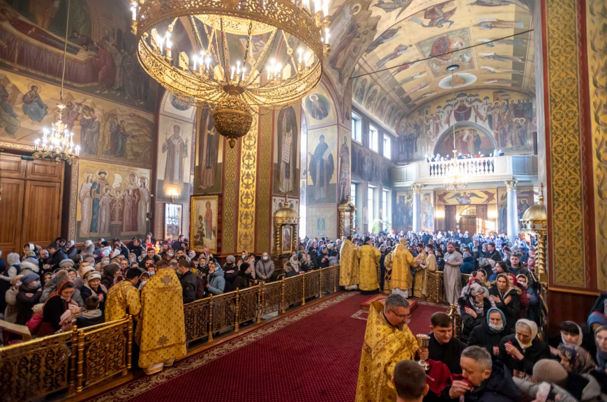 Источник фото: сайт beleparh.ru Источник фото: сайт beleparh.ru